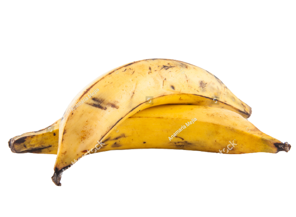 Plantain