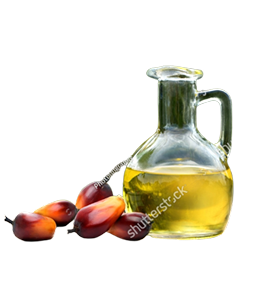 Palm kernel oil