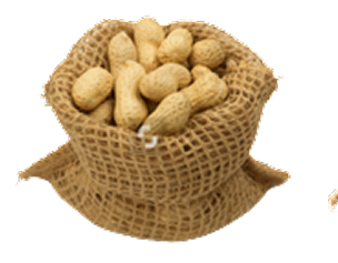 Groundnut