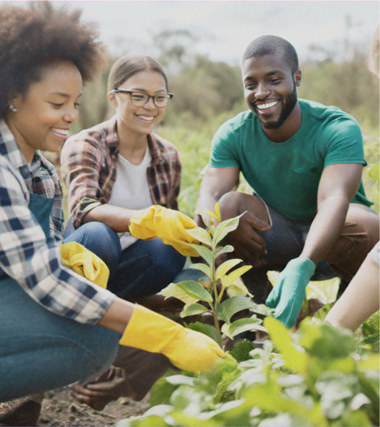 Community gardening and environmental work